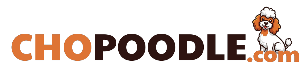 Chó Poodle – Chopoodle.com